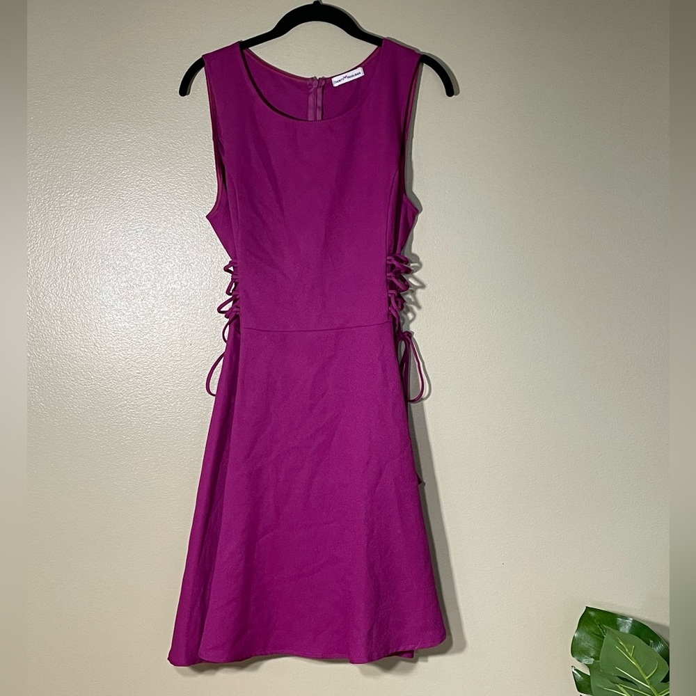 Women’s Purple Dainty Hooligan Dress (size small) perfect for a wedding guest